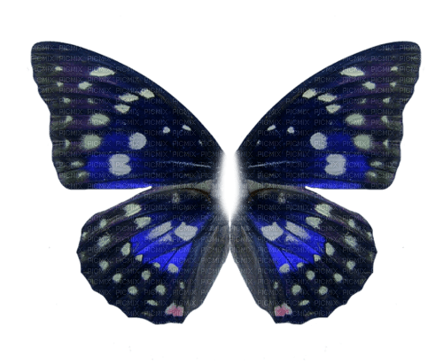 deco fantasy wings png tube kikkapink blue - δωρεάν png
