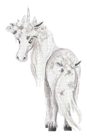 nbl-unicorn - 免费PNG