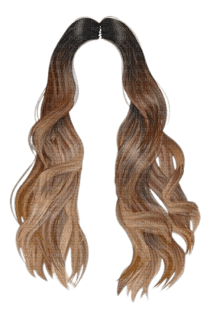 cheveux chatain blond long - png gratis