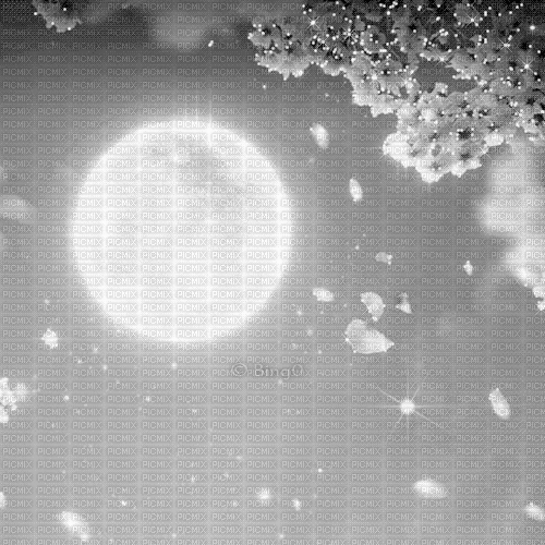 Y.A.M._Spring moon background black-white - GIF animé gratuit