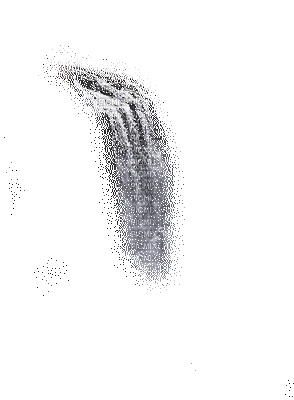 waterfall - Безплатен анимиран GIF