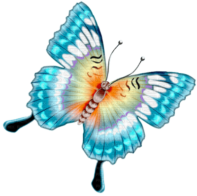 papillon.Cheyenne63 - gratis png