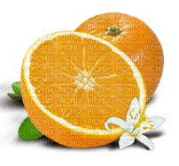 Orange with Blossom - Free PNG
