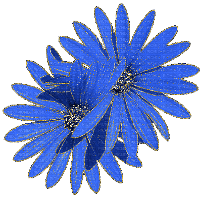 flores - GIF animado grátis
