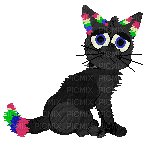 rainbow black cat - безплатен png