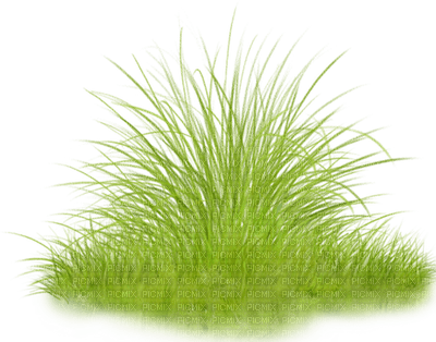 Kaz_Creations Deco Grass Garden - 免费PNG