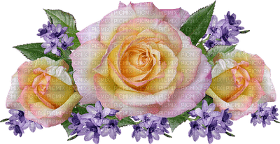 kukka, flower, fleur, ruusu, rose - png gratuito