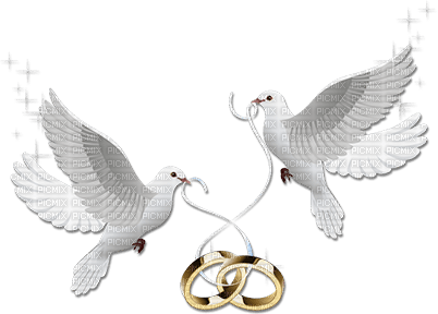 soave deco wedding dove bird ring couple black - ücretsiz png