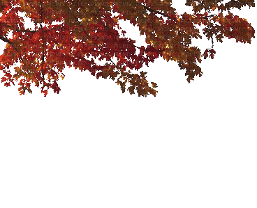 Деревья - Darmowy animowany GIF