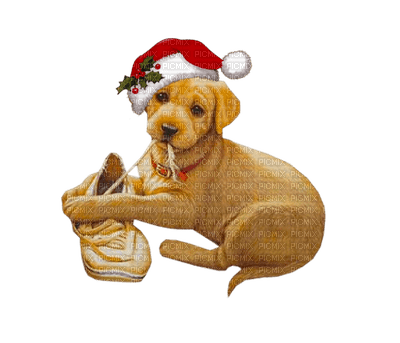 Kaz_Creations Dog Pup Dogs 🐶Christmas - png gratuito