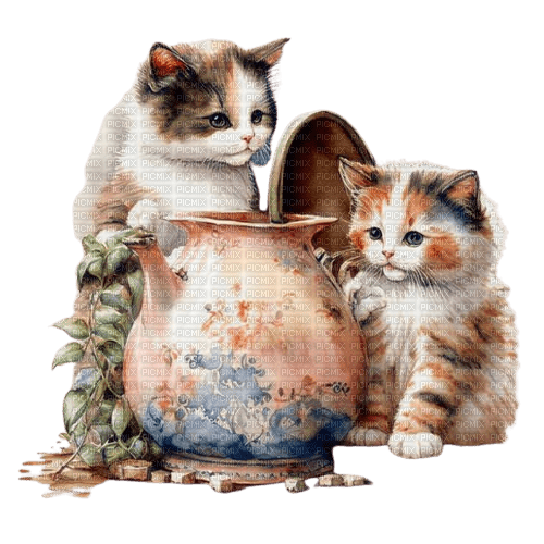 loly33 chat chaton - kostenlos png