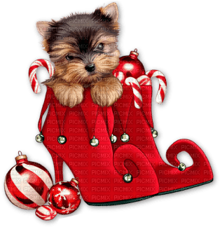 Kaz_Creations Cute Cartoon Dog Pup Christmas Deco - Free PNG