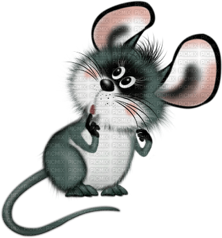 Mouse - Bogusia - zdarma png