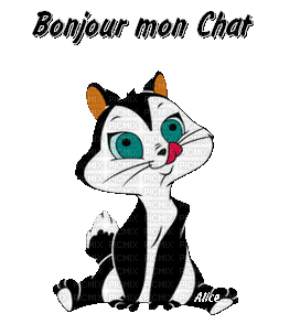 bonjour mon chat - Darmowy animowany GIF