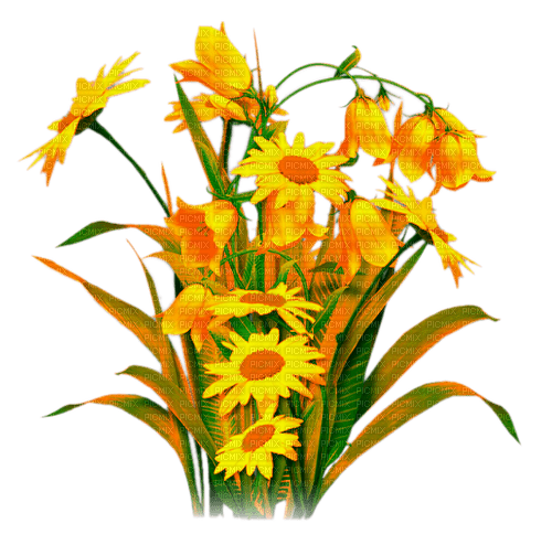 Flowers.Orange - ilmainen png