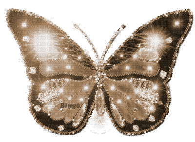 Y.A.M._Summer Flowers Decor butterflies sepia - GIF animate gratis