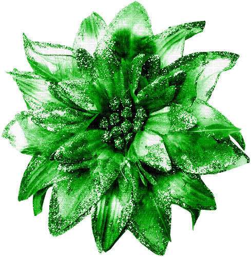 Flower.Green - PNG gratuit