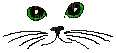 kot - Darmowy animowany GIF