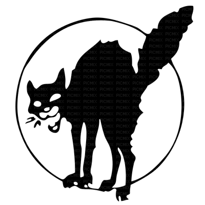Kaz_Creations Silhouettes Silhouette Cat Halloween - png ฟรี
