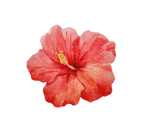 ✶ Flower {by Merishy} ✶ - PNG gratuit