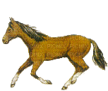 aze cheval marron Brown - Nemokamas animacinis gif