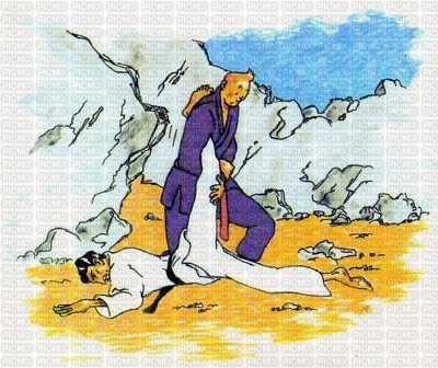 Tintin judo - бесплатно png