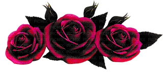 red  roses - bezmaksas png