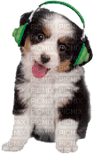 Kathleen Reynolds Dog Pup - ücretsiz png