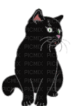 chat noir - Besplatni animirani GIF