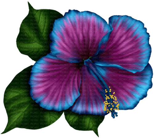 Tropical.Flower.Blue.Purple - PNG gratuit