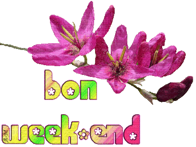 bon week-end - 無料のアニメーション GIF