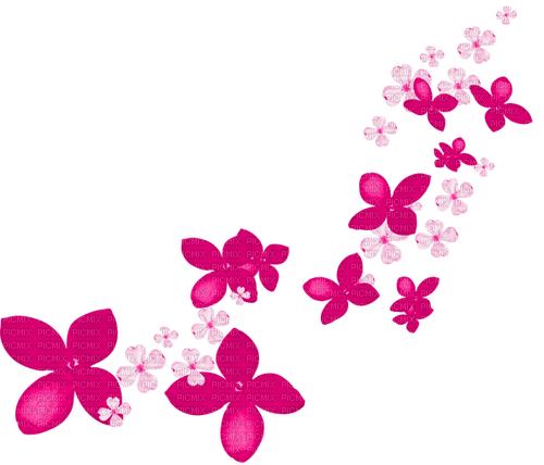 Flowers.White.Pink - png grátis