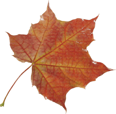Kaz_Creations Autumn Deco - 免费PNG