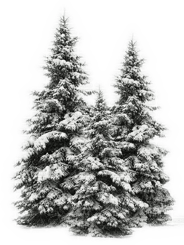 Rena Tree baum Winter Snow - bezmaksas png