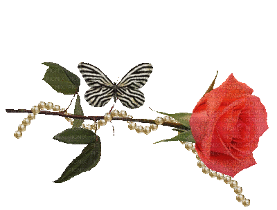 cecily-rose papillon deco - Zdarma animovaný GIF
