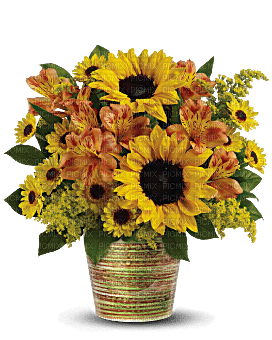 Kaz_Creations  Flowers Vase - ingyenes png