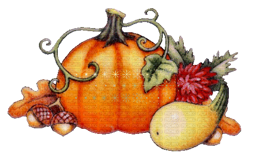 MMarcia gif abobora halloween - Бесплатный анимированный гифка