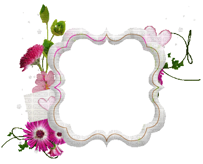 spring printemps flower fleur blossom fleurs blumen frame cadre rahmen blanc vintage - Free animated GIF