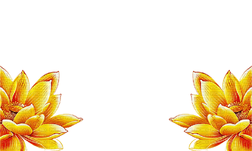 Lotus - Flower - ücretsiz png