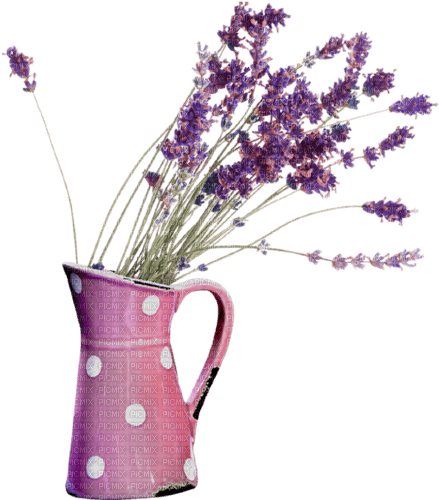 lavender Bb2 - png gratuito