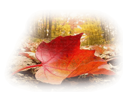 automne - Free PNG