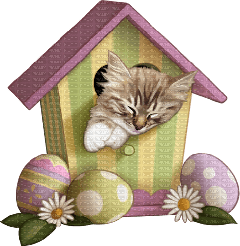 Easter. Cat. Egg. Leila - png ฟรี