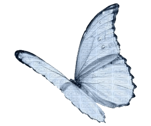 mariposa azul deco dubravka4 - png gratuito