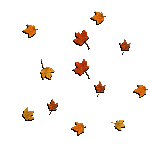 deco autumn automne leaves feuilles - Bezmaksas animēts GIF