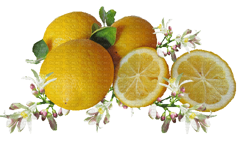 lemon citron 🍋 - Bezmaksas animēts GIF