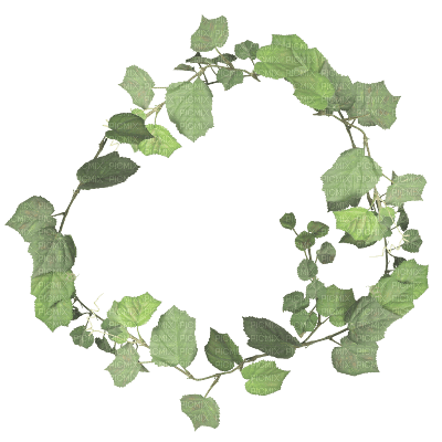 green leaves - png gratis