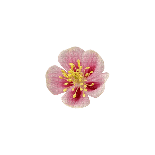 kikkapink deco scrap pink flower - 無料png