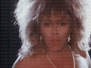 Tina Turner - Gratis animerad GIF
