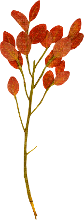 Herbst - Free PNG