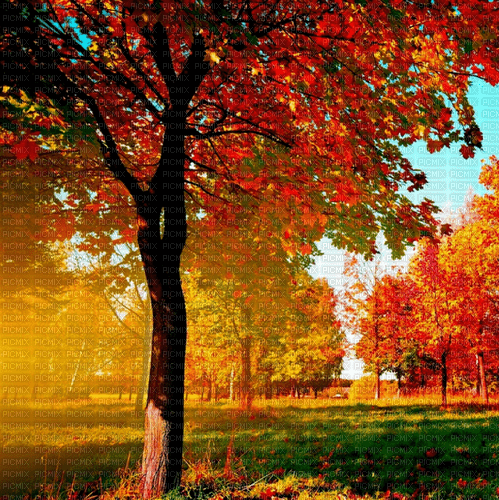 Rena Autumn Herbst Hintergrund - png ฟรี